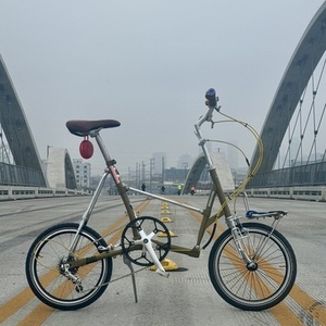 1983 Bridgestone Picnica Brown