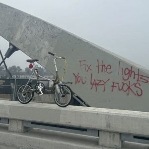 1983 Bridgestone Picnica Brown