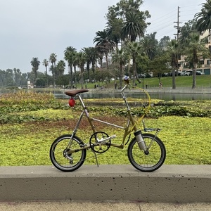 1983 Bridgestone Picnica Brown