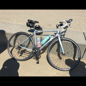2016 Trek Lexa Silver or Gray