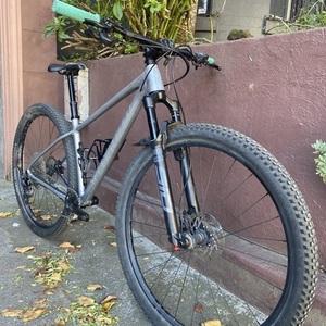 2023 Specialized Chisel Silver, gray or bare metal