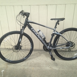 2017 Giant Roam Silver or Gray