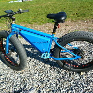 2015 Sondors Fat tire ebike Blue