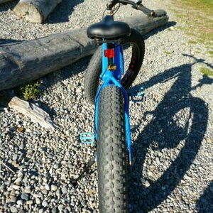 2015 Sondors Fat tire ebike Blue
