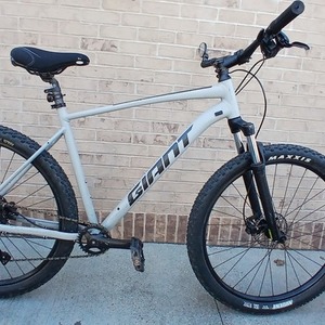 2021 Giant Talon Silver, gray or bare metal