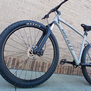 2021 Giant Talon Silver, gray or bare metal