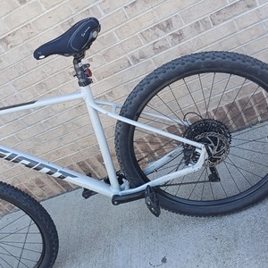 2021 Giant Talon Silver, gray or bare metal