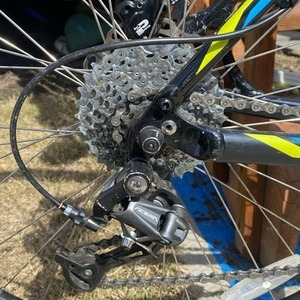 2024 Specialized Black, Blue, and Green
