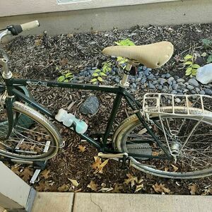 2014 Pure City Classic Green and Silver, gray or bare metal