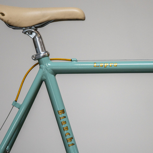 2010 Bianchi Lepre 8