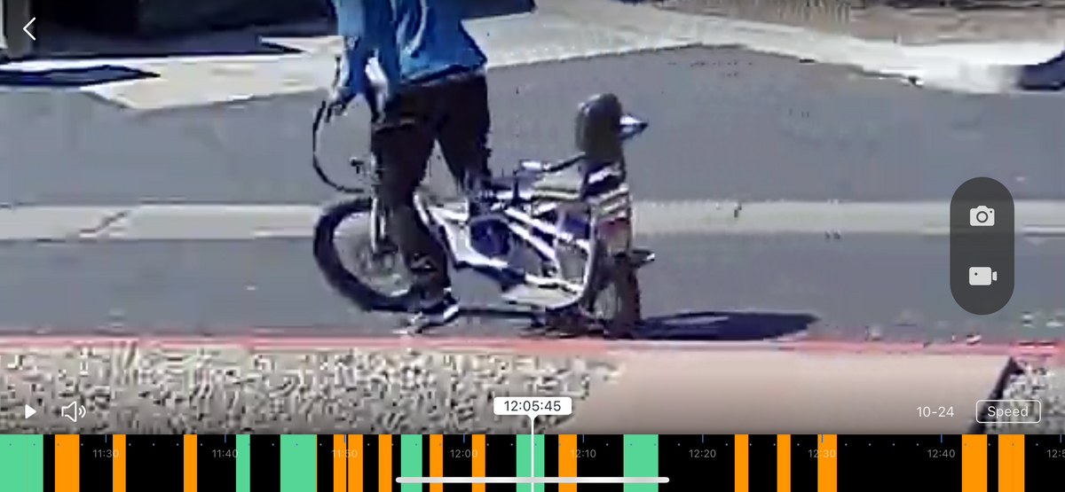 Cargo Bike Rear photo