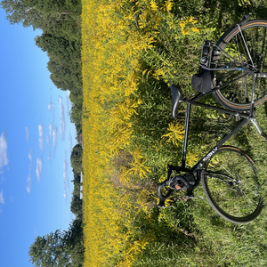 Surly Cross-Check Black