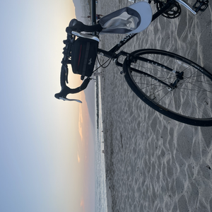 Surly Cross-Check Black