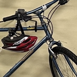 1986 Ritchey Aspen Blue