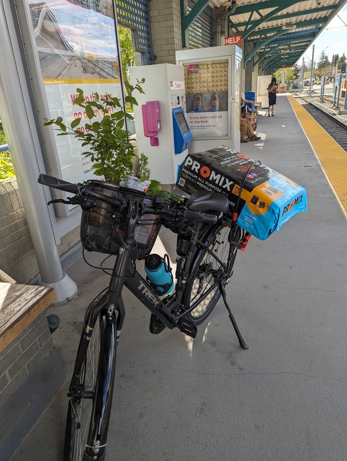 Trek Verve 2
