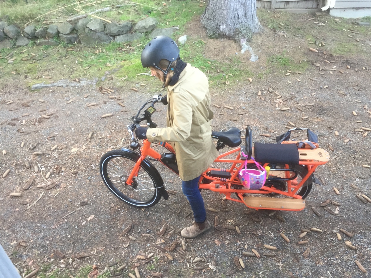 Cargo Bike Rear photo