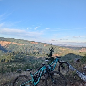 2019 Santa Cruz Megatower C Green and Black