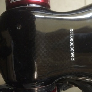 2009 Ghost LEKTOR EBS Carbon Black and White