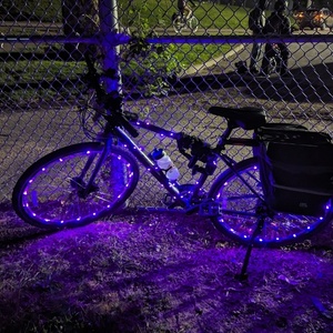2024 Trek FX2 Black