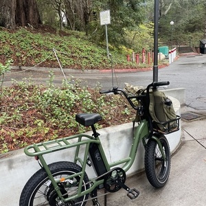 2022 Rad Power Bikes RadRunner 2 Green