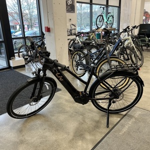 2022 Giant Amiti E+2 Purple