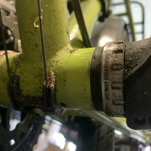 2022 Surly Disk Trucker Green