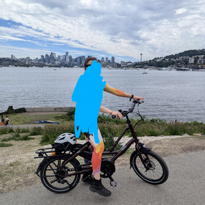 2024 Tern Quick haul p9 Red