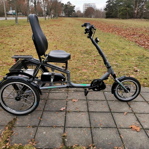 2019 Pfautec Trizon tricycle Silver, gray or bare metal