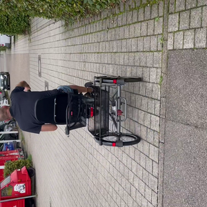 2019 Pfautec Trizon tricycle Silver, gray or bare metal