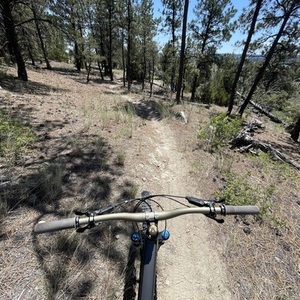 2024 Transition Bikes Sentinel Silver, gray or bare metal