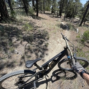 2024 Transition Bikes Sentinel Silver, gray or bare metal