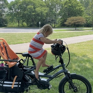 2019 Tern Gsd Silver, gray or bare metal