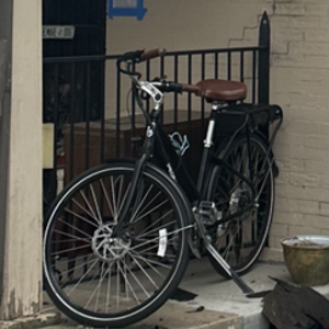 2021 Pedego City commuter Black