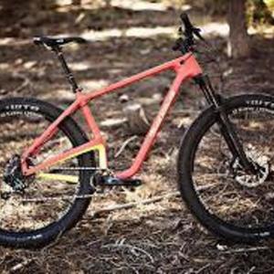 2017 Salsa Woodsmoke Orange and Yellow or Gold