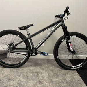 2024 Specialized P.3 Silver, gray or bare metal