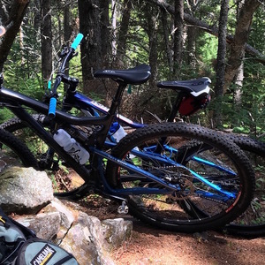 Santa Cruz Tallboy Black and Blue