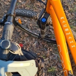 MAXX RACEMAXX 29" Pro XT SLX Orange