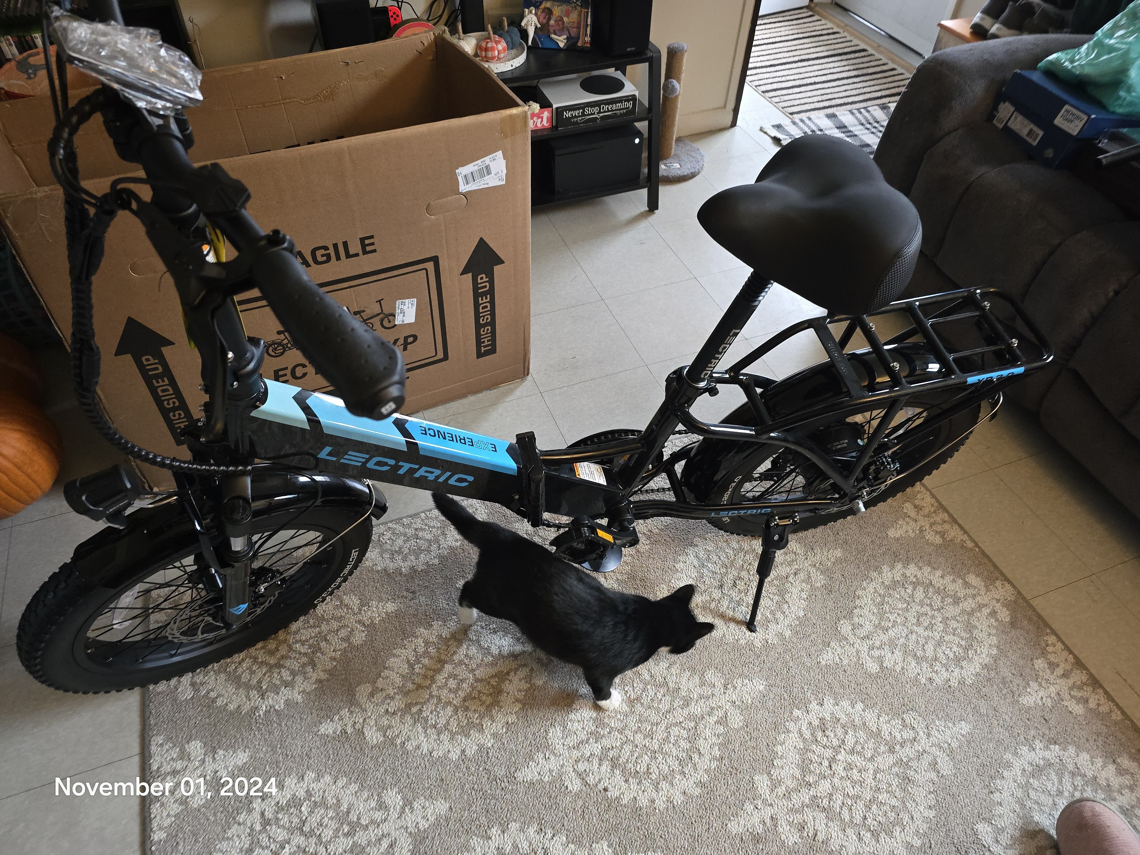 2024 Lectric eBikes XP 3.0 LongRange Folding Ebike