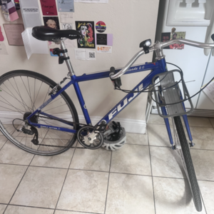 2009 Fuji Palisade 2.0 Blue