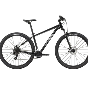 2024 Cannondale Mountain Bike 8 from REI Silver, gray or bare metal