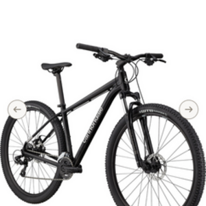 2024 Cannondale Mountain Bike 8 from REI Silver, gray or bare metal