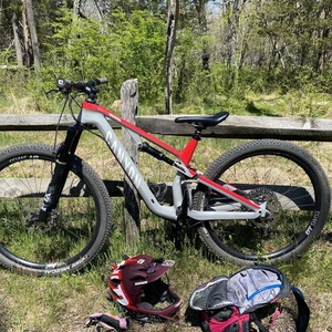 2021 Canyon bicycles Neuron CF 7 Red and Silver, gray or bare metal