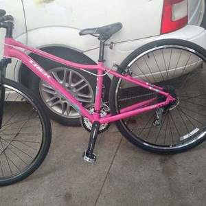 Trek Neko Pink