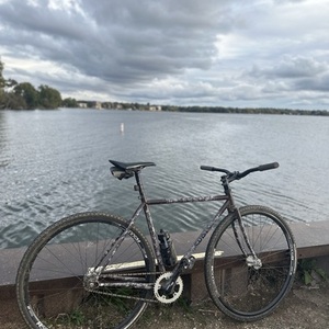 2015 Surly Steamroller Brown