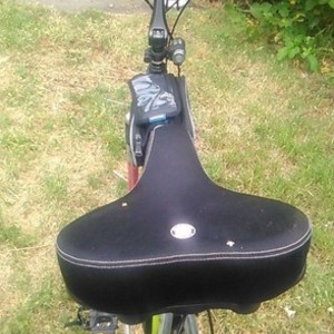 mountain sport MENS 26 " Silver or Gray