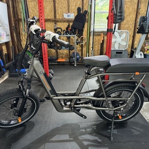 2024 Rad Power Bikes Rad Runner 3 Plus Silver, gray or bare metal