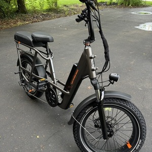 2024 Rad Power Bikes Rad Runner 3 Plus Silver, gray or bare metal