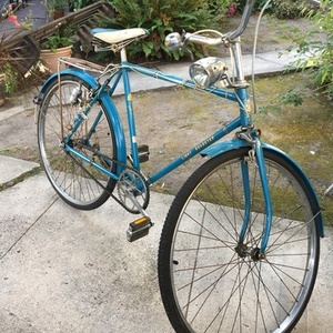 Flying Pigeon Light Roadster