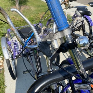 2013 Schwinn Roadster Trike Unisex tricycle Blue