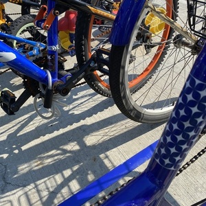 2013 Schwinn Roadster Trike Unisex tricycle Blue